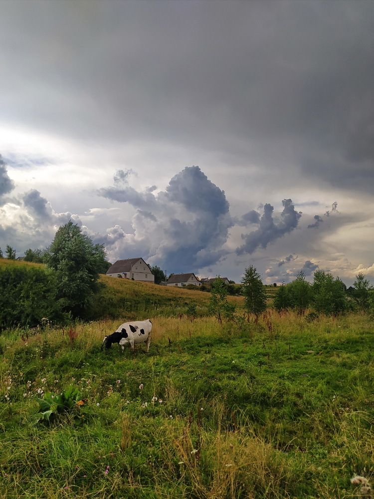 Photograph by Maryna Kukhtsikava