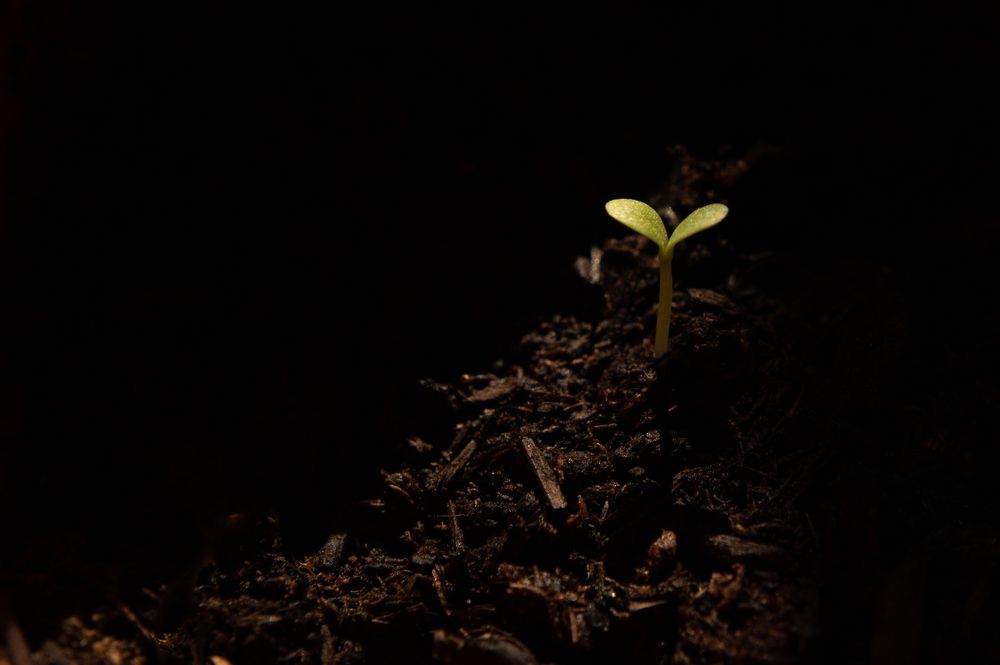 Photograph by Svetlana Soboleva