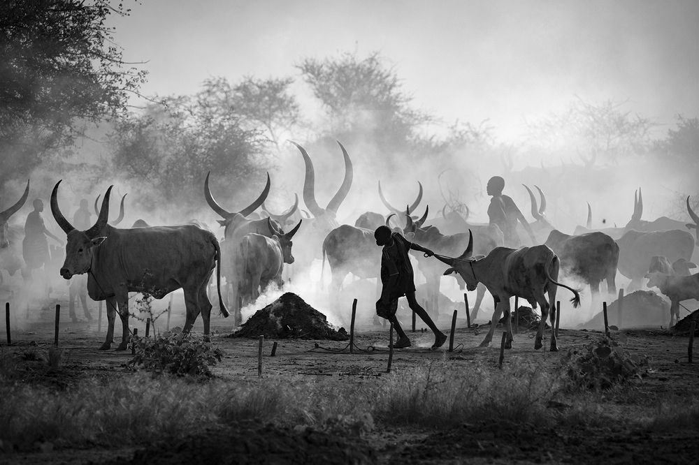 Mundari story, SOUTH SUDAN 2021