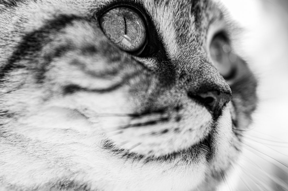 Photograph by Svetlana Soboleva