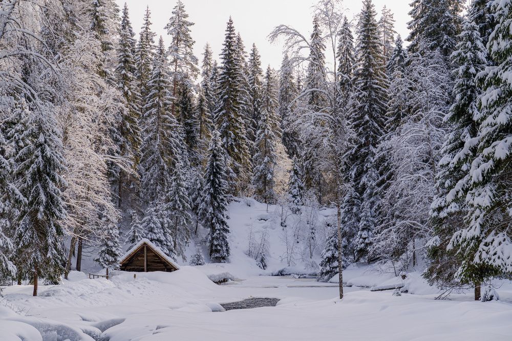 Photograph by Алена Устинович