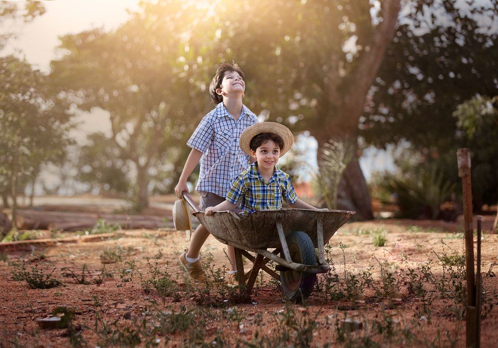 Фотография автора Meg Leite