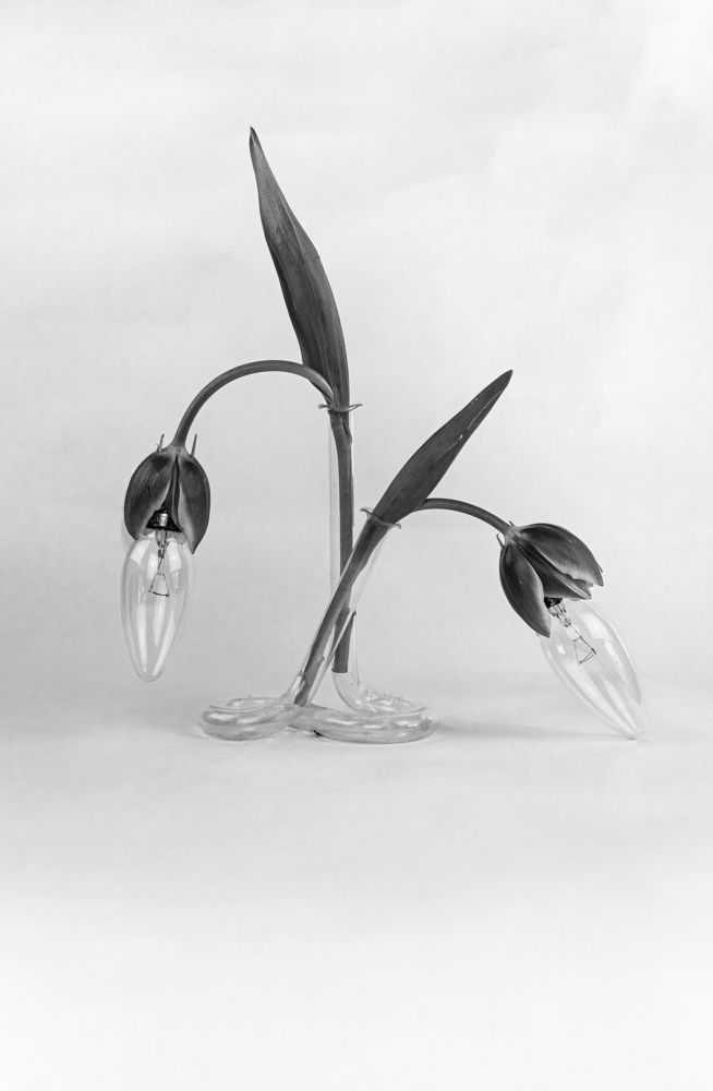 Фотография автора Elena Van Melkebeek