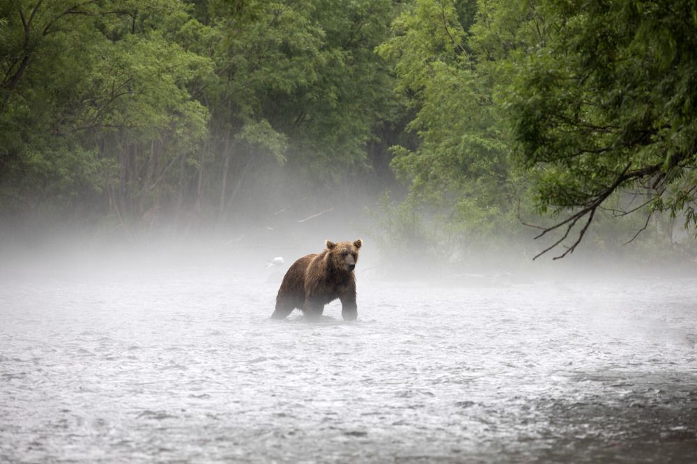 Photograph by Julia Gorodnova