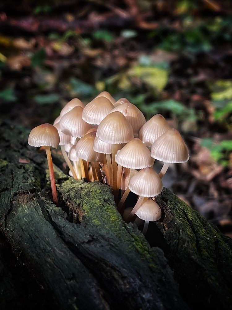 Photograph by Виктория Селютина