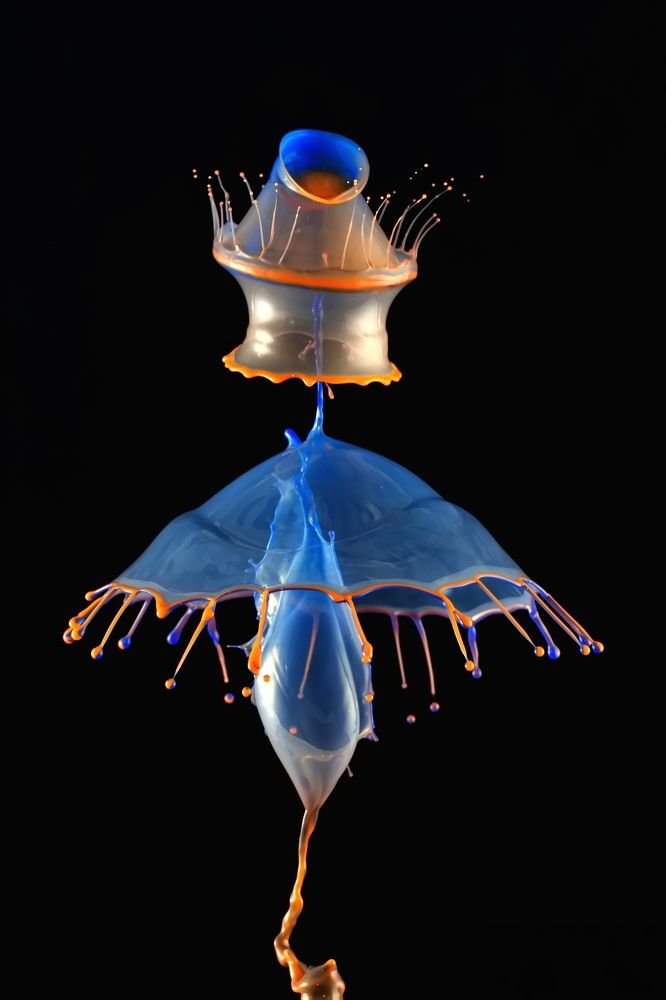 Фотография автора Илан Грабоис