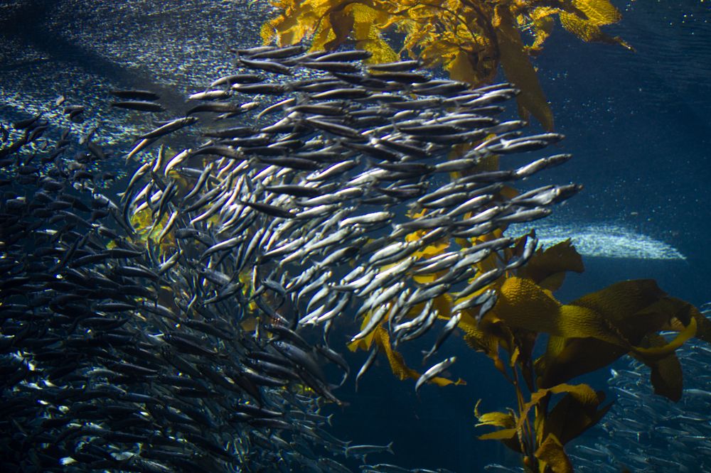 Photograph by Annita Christofidou