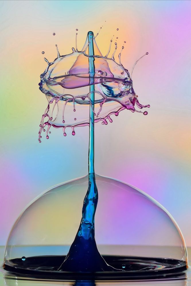 Фотография автора Илан Грабоис