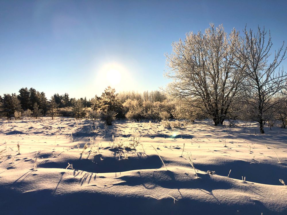 Photograph by Andres Papp