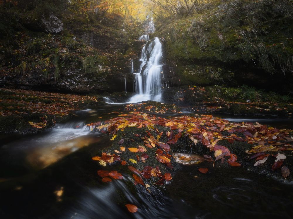 Photograph by Michele Buttazzoni