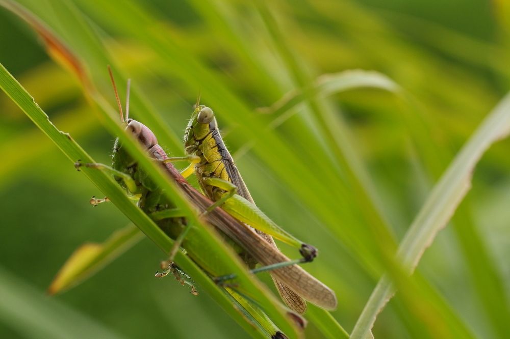 Фотография автора R. Zai