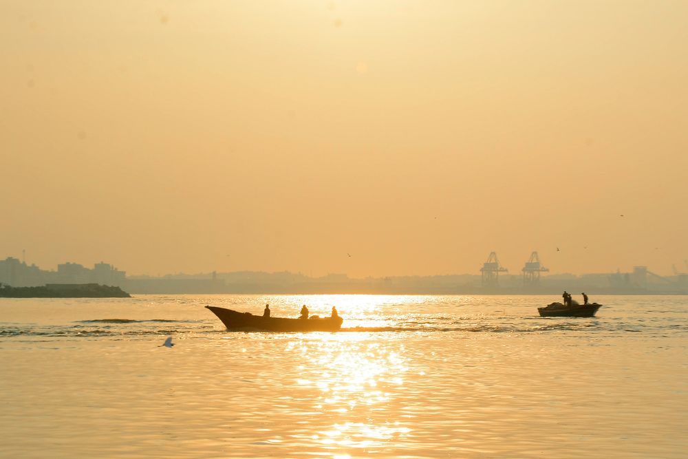 L O O K  F O R  L i f E