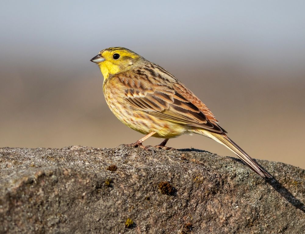 Photograph by Павел Краснослободцев