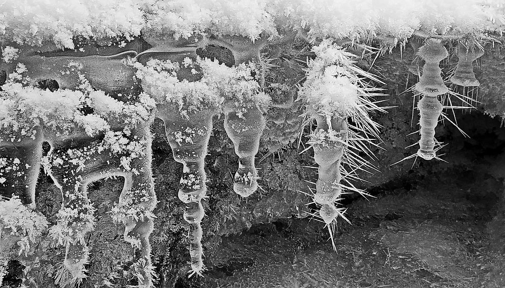 Photograph by Александр