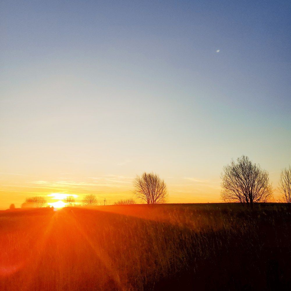 Photograph by Наталья Светлова