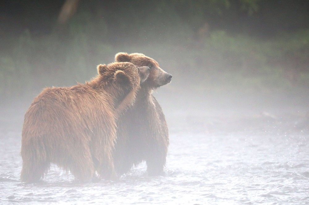 Photograph by Julia Gorodnova