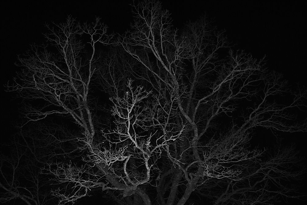 Photograph by Алексей