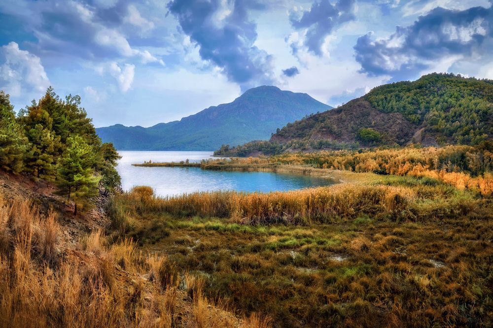 Photograph by Марина Ческис