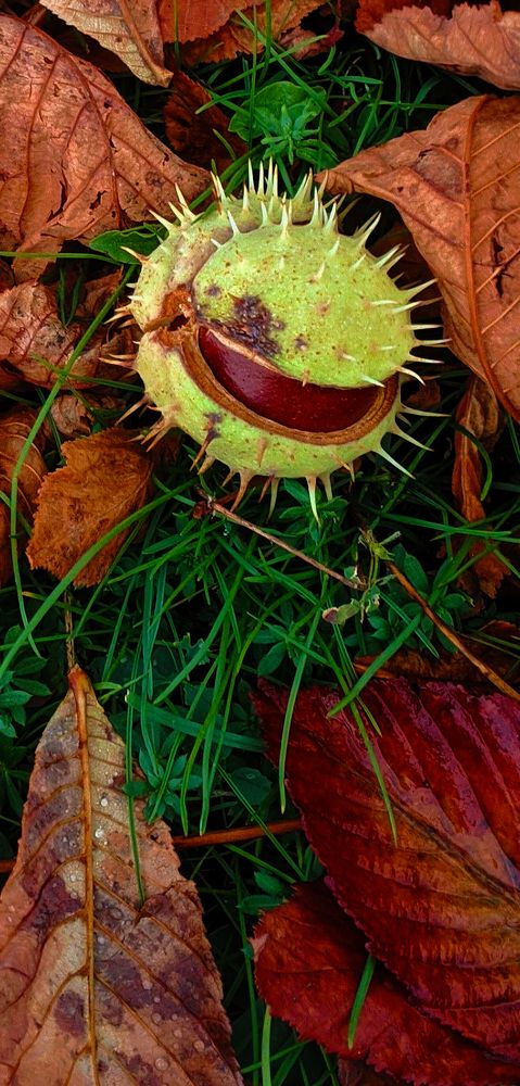 Photograph by Юлия Кононова