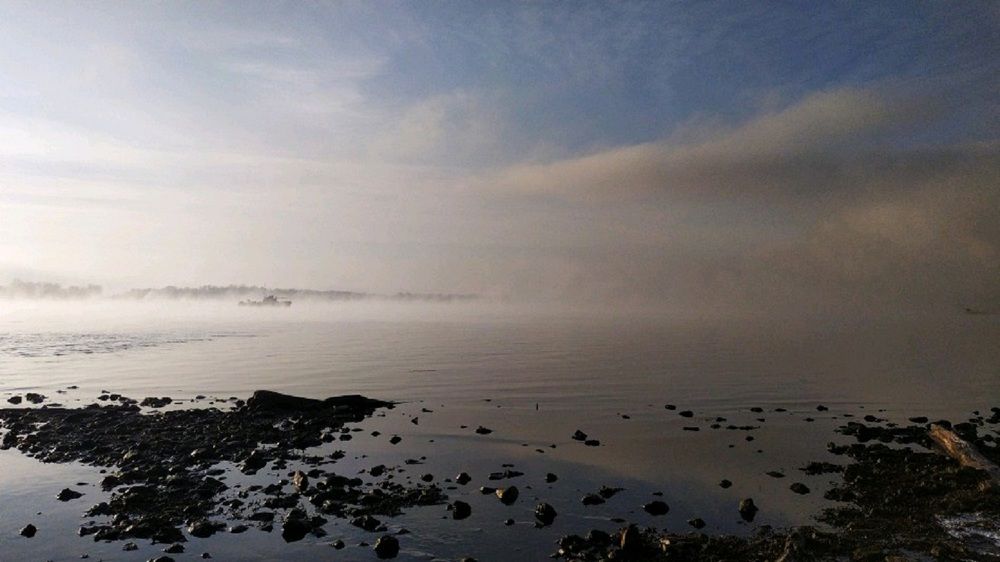 Photograph by Оксана Рогачева