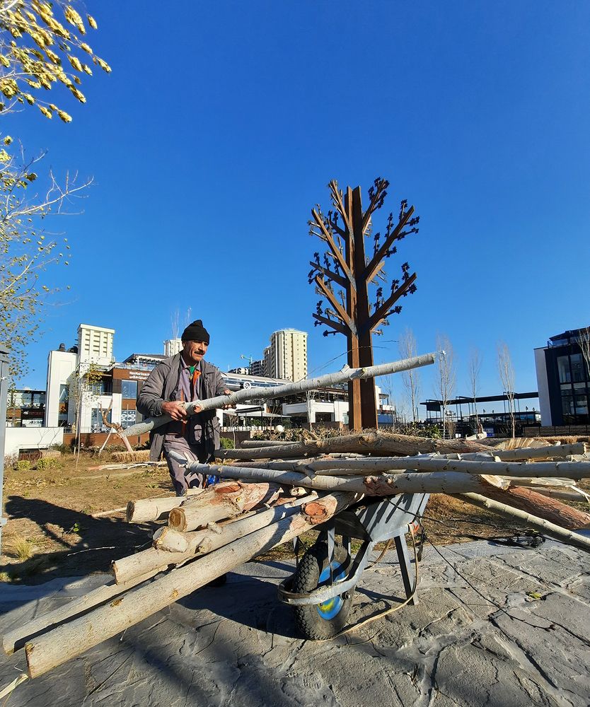 Photograph by Mohammadvahid Nasseri