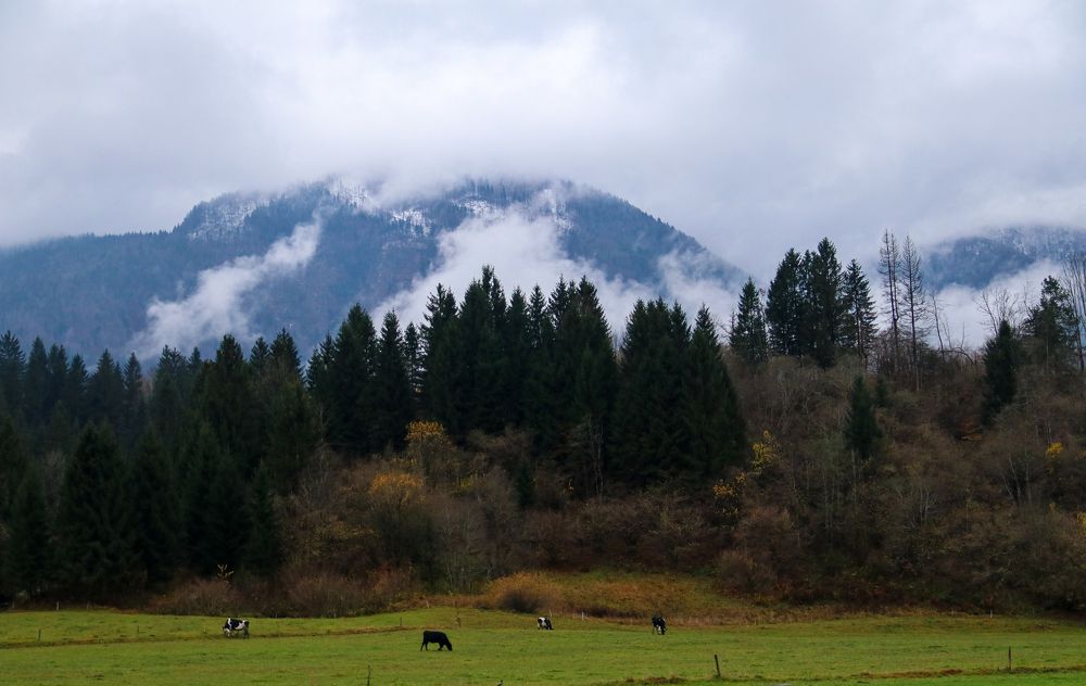 Photograph by Frolova Nataliya