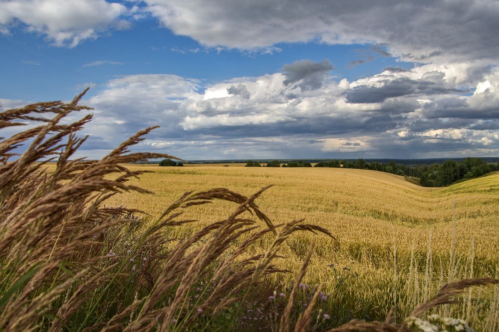 Photograph by Larisa Shuglya