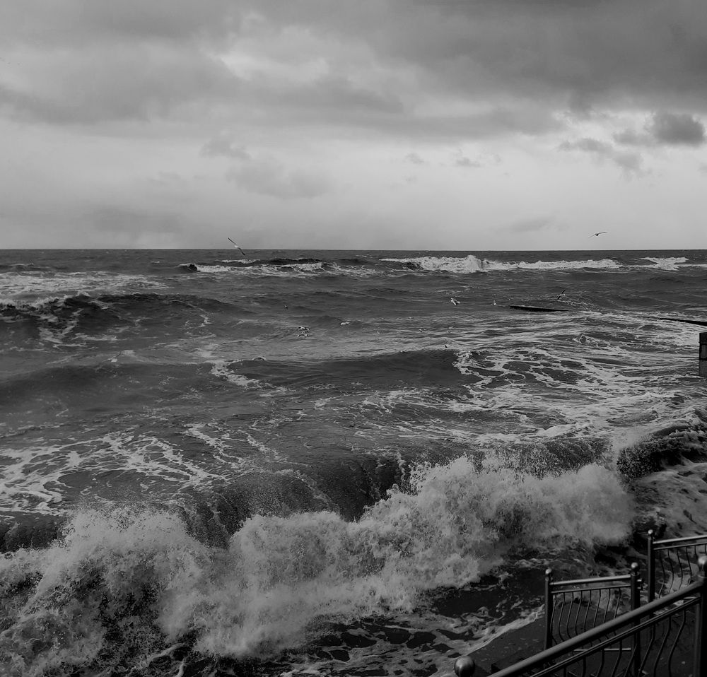 Photograph by Ламейко Светлана