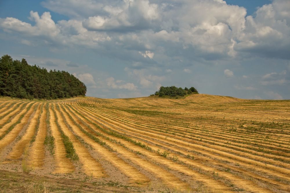 Photograph by Larisa Shuglya