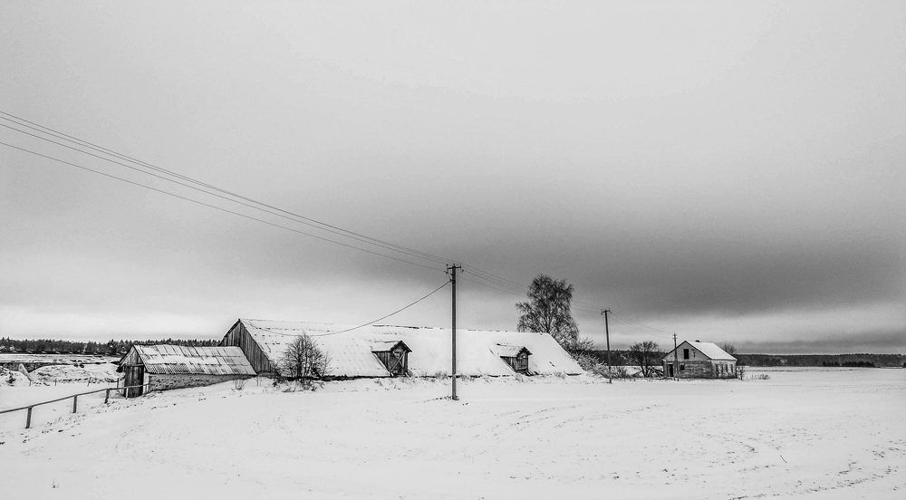 Фотография автора Александр Буренко