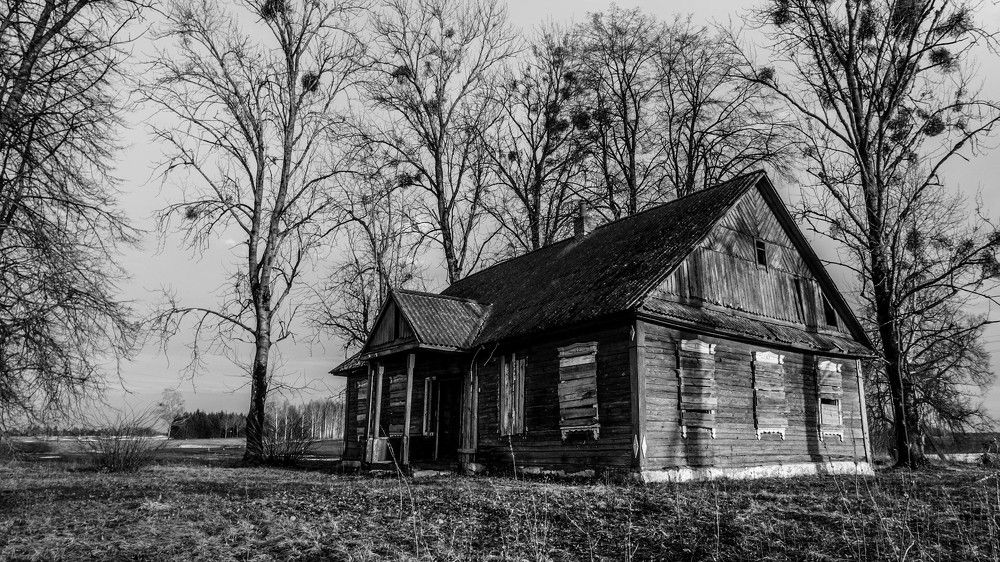 Фотография автора Александр Буренко