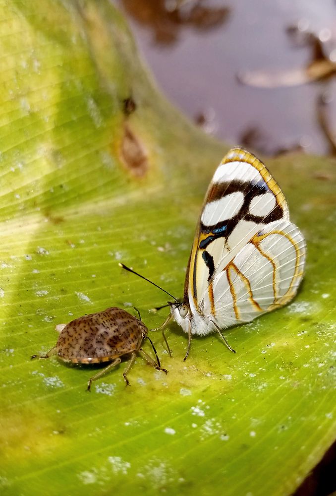 Photograph by Maria de los Angeles Osorio