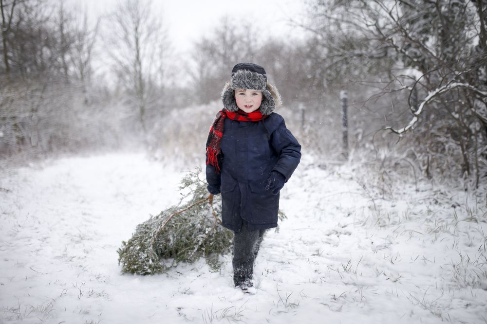 Photograph by Анна Фолимонова