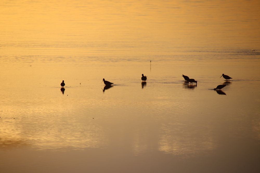 Photograph by Reenum Gounden