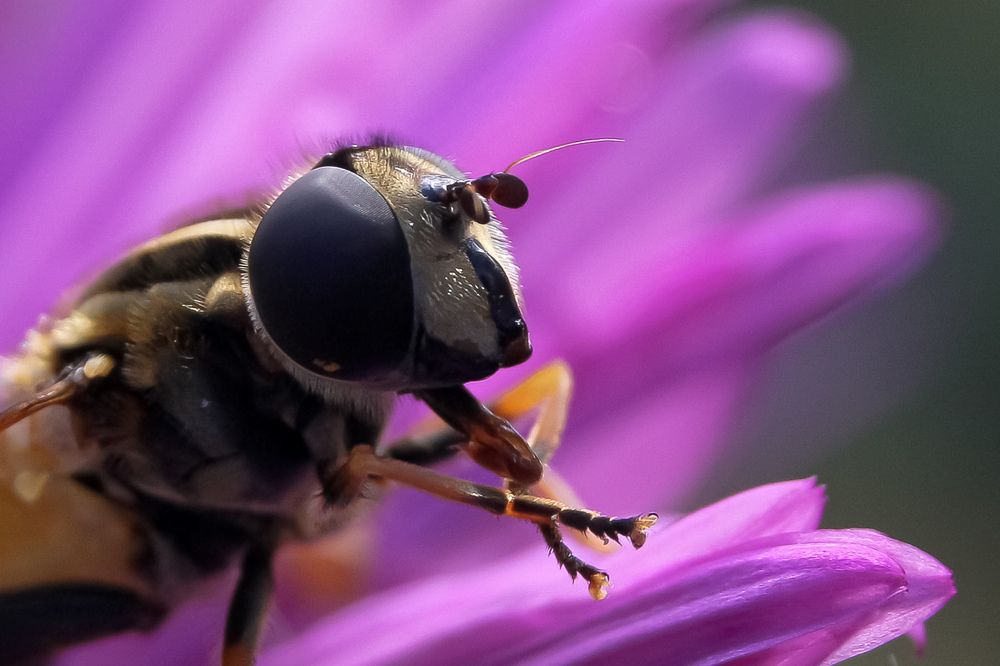 Photograph by Наталья Рябоконенко