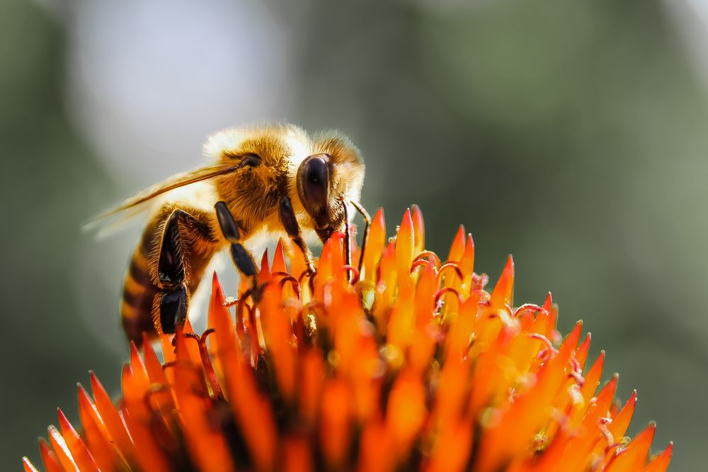 Photograph by Наталья Рябоконенко