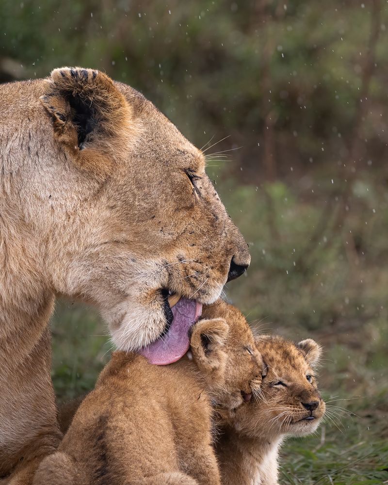 Photograph by Jayakumar MN