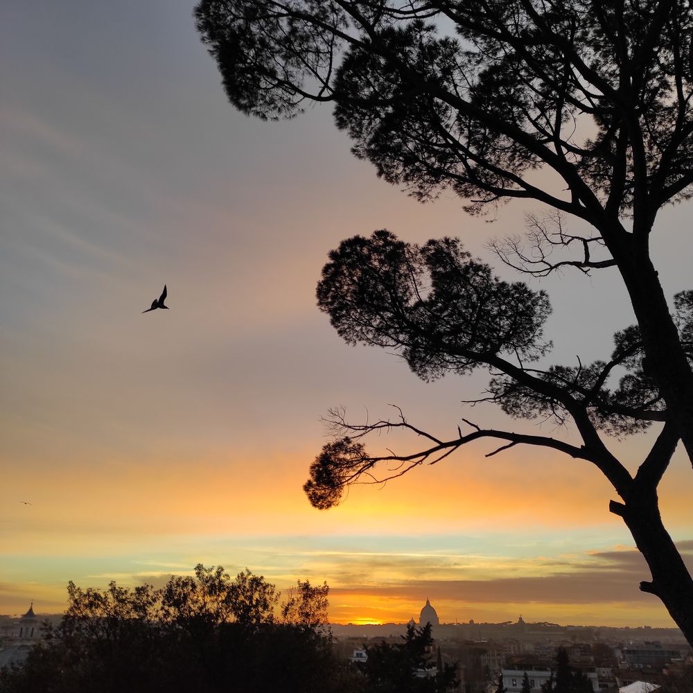 Photograph by Марина Ланг