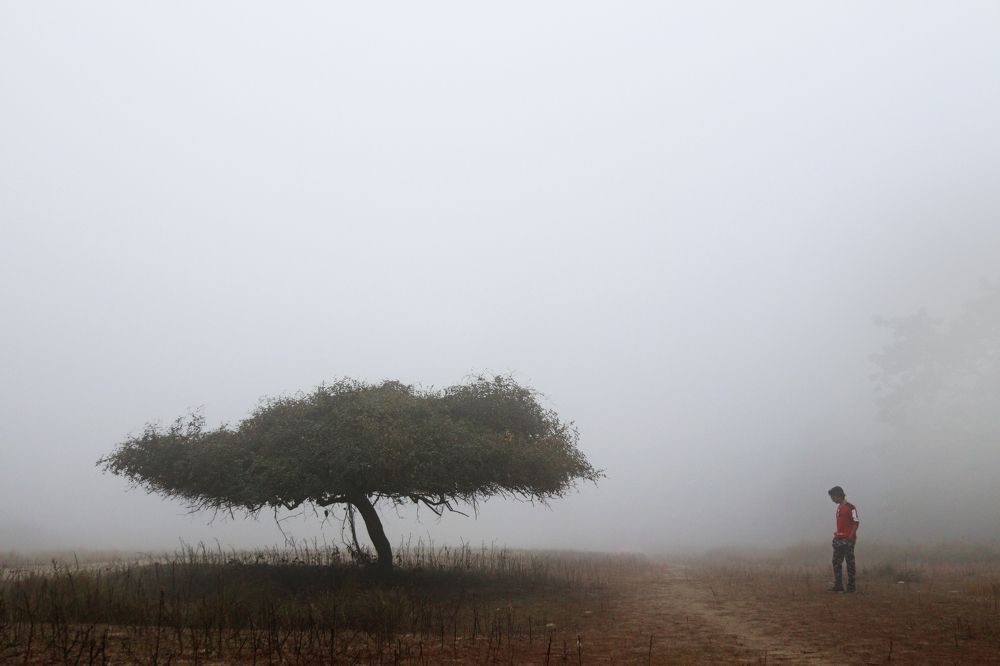 Photograph by K. U. Masoud