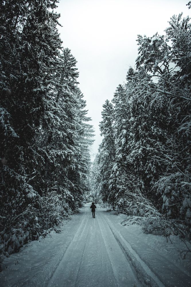 Photograph by Дмитрий Палицын