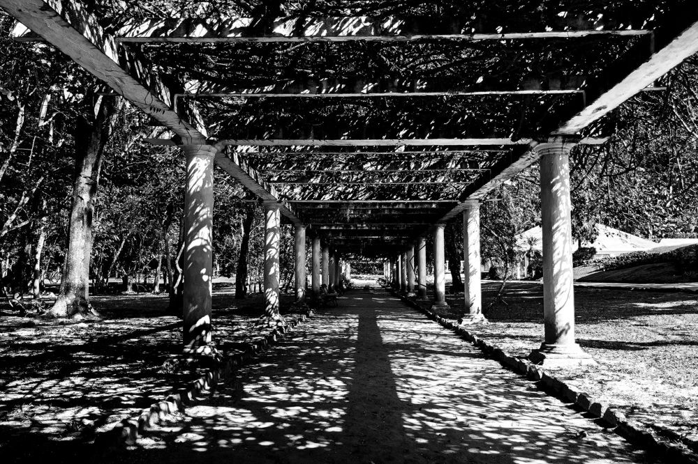 Light and Shadow Corridor