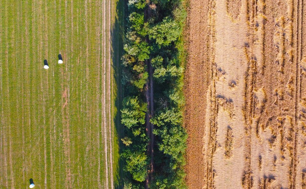 Photograph by Павел Минкевич