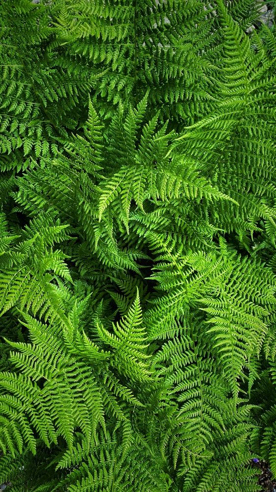 Photograph by Ленар Маликов