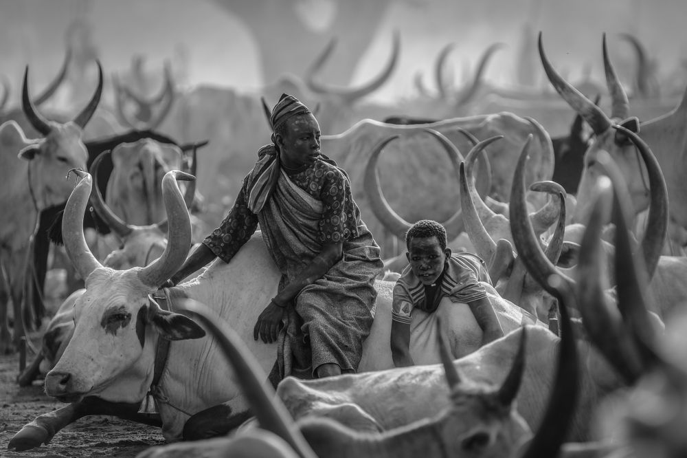 Photograph by Justyna Dziegiec