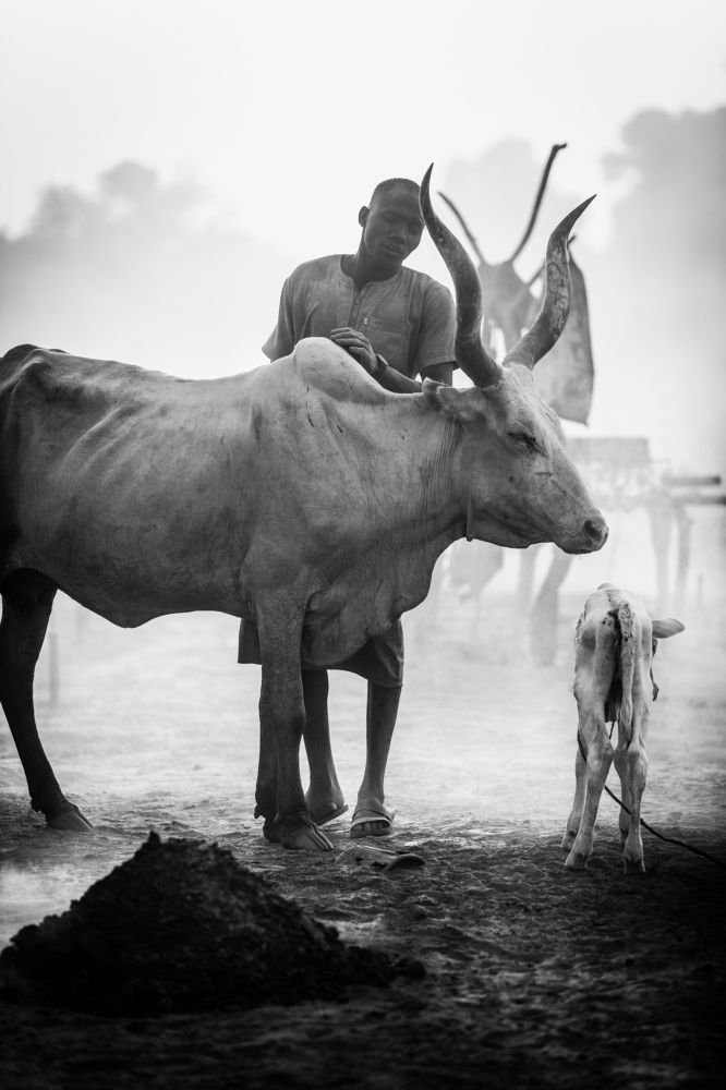 Photograph by Justyna Dziegiec