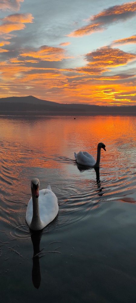 Photograph by Марина Ланг