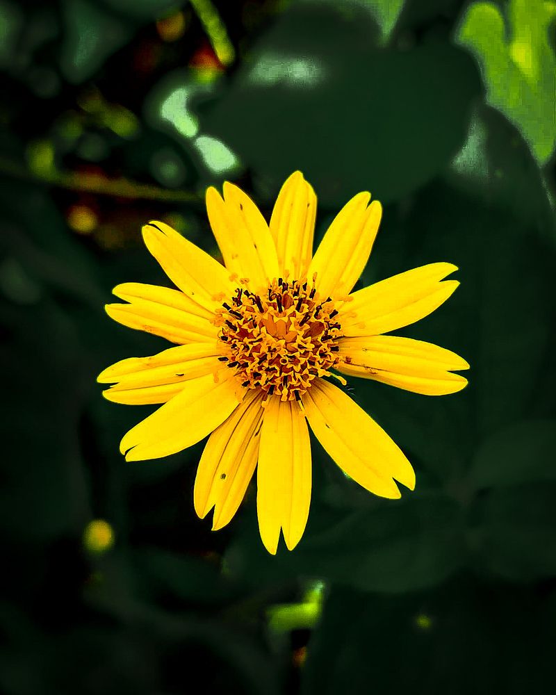 Photograph by Raheem Oluwadamilare