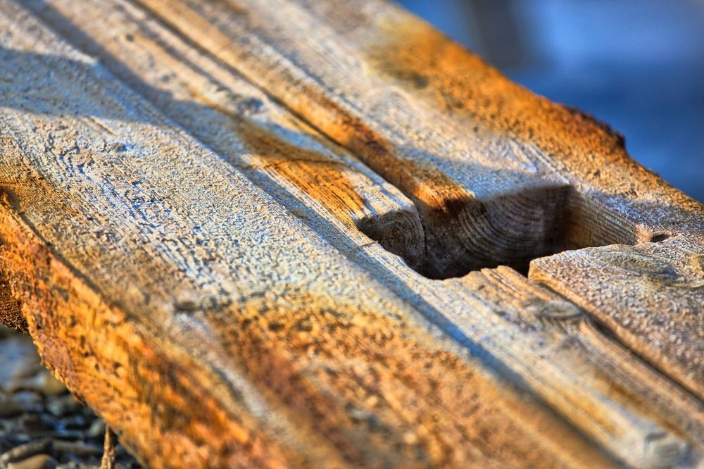 Photograph by Александр Аседач