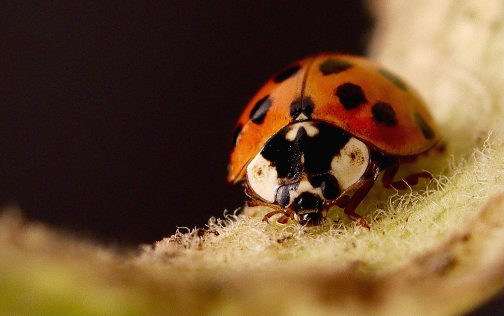 Photograph by Малика Маткарим