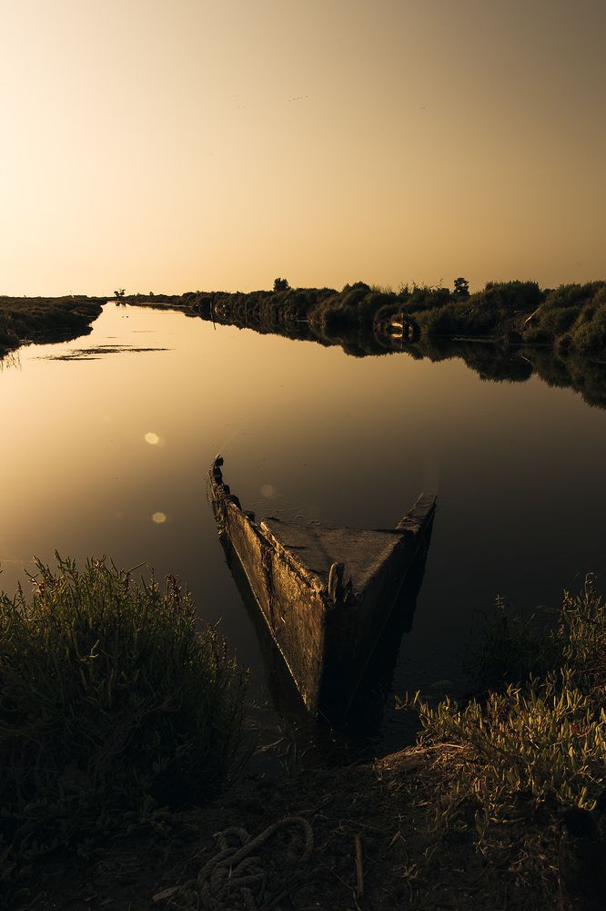 Photograph by Manuel Escuder Gual